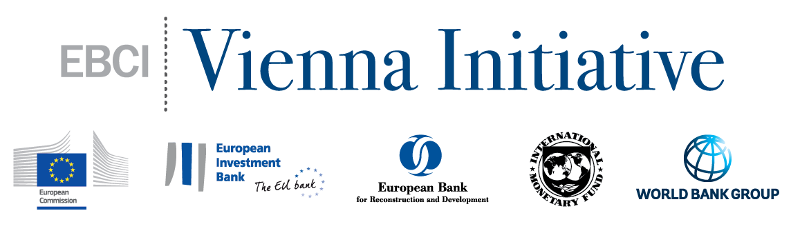 Vienna Initiative